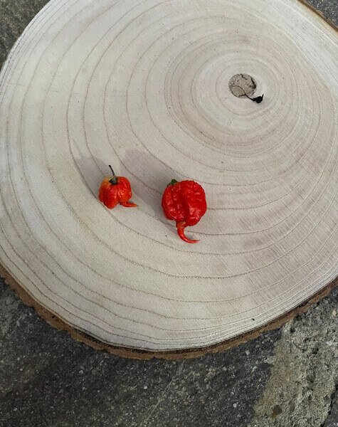 Carolina Reaper